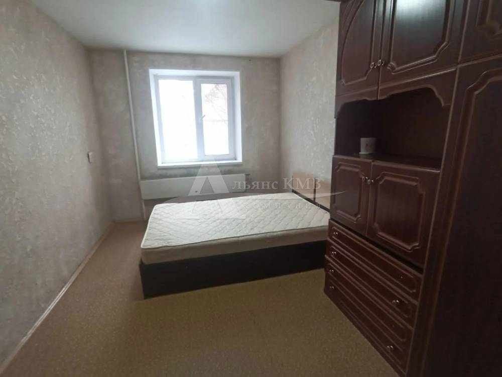 img_20260213_131047_367