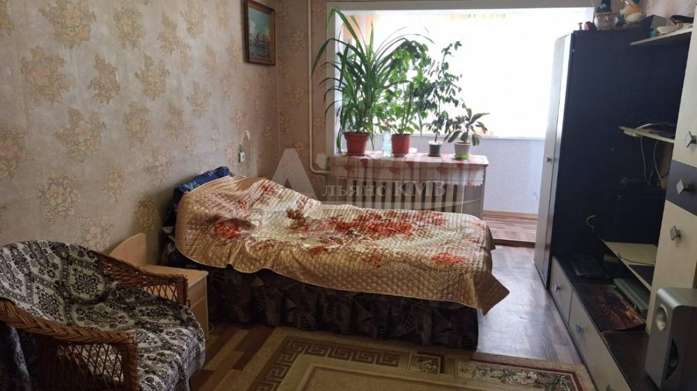 whatsapp image 2025-12-01 at 17.55.23