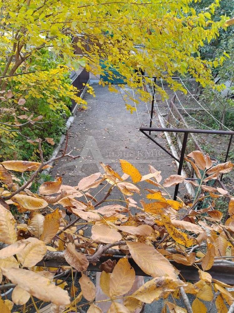 img_20231023_152406_thumb