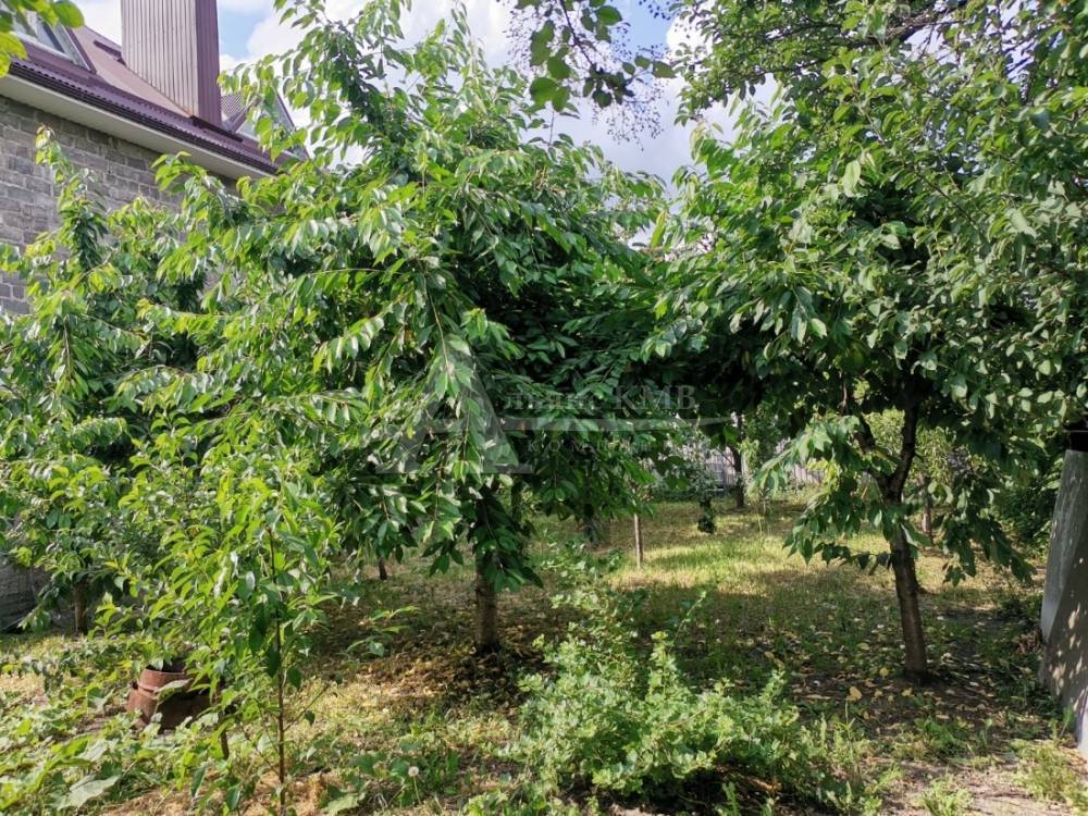 bf037d4b-f713-44a1-824c-55d3377b7059