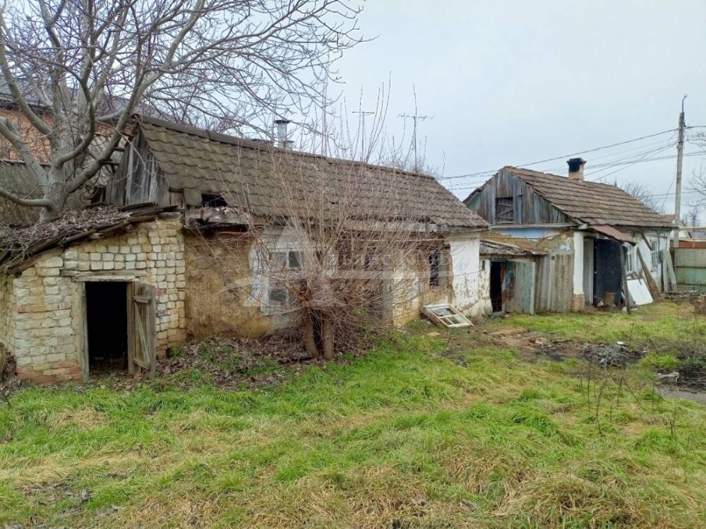 img_20260218_111248_625