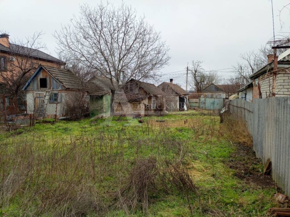 img_20260218_111221_835