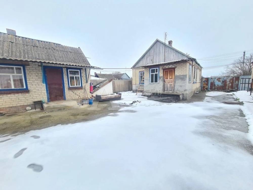 img_20260303_123157_128