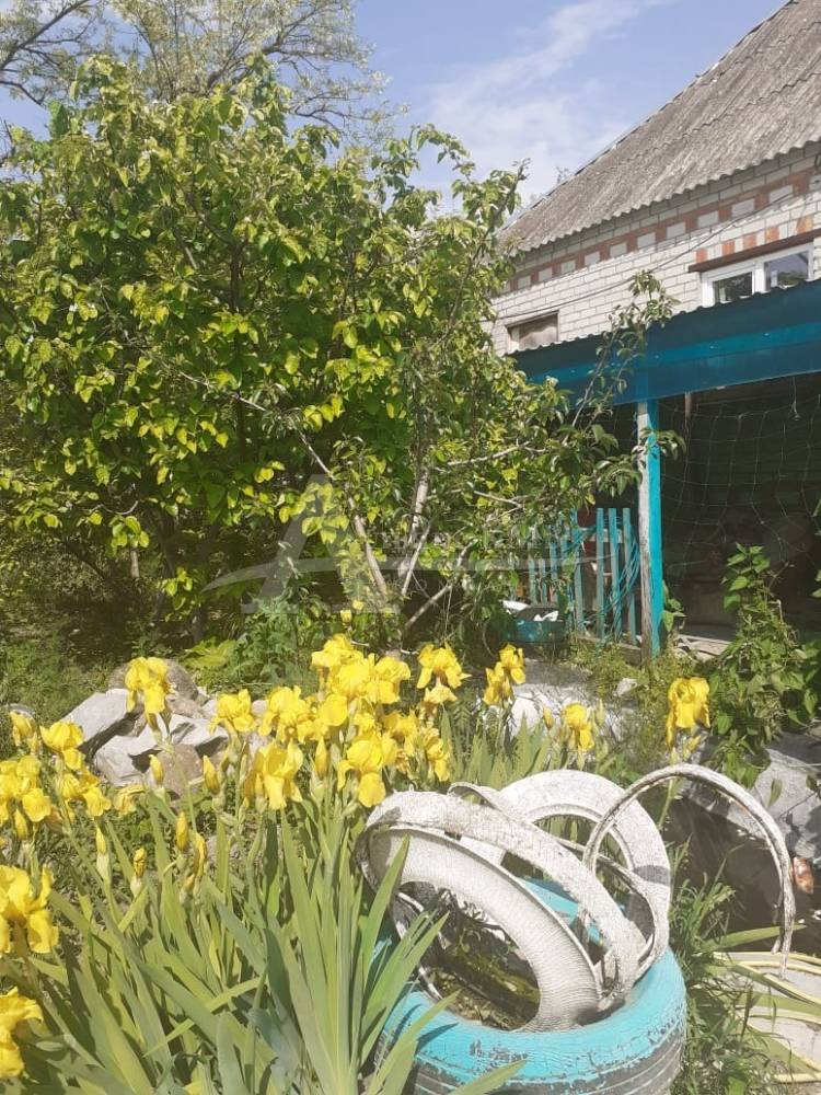 cdd886ba-d47d-489a-b7fb-4394d06db366