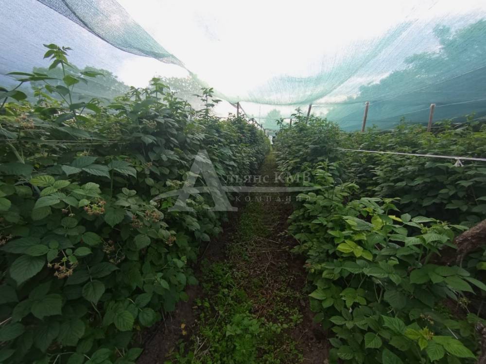 Ставропольский край, Георгиевск, Тупиковский пер.; Дом 75м² на участке 27 сот. 1 эт.