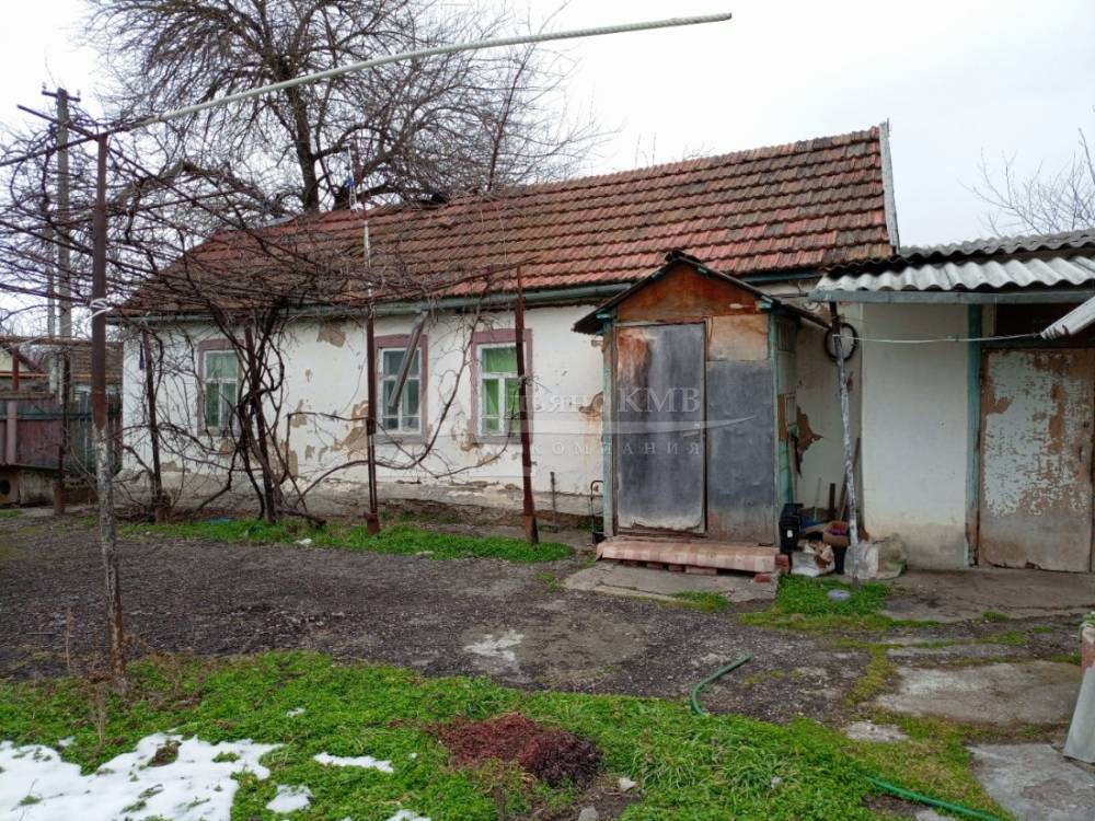 img_20260303_165305_390