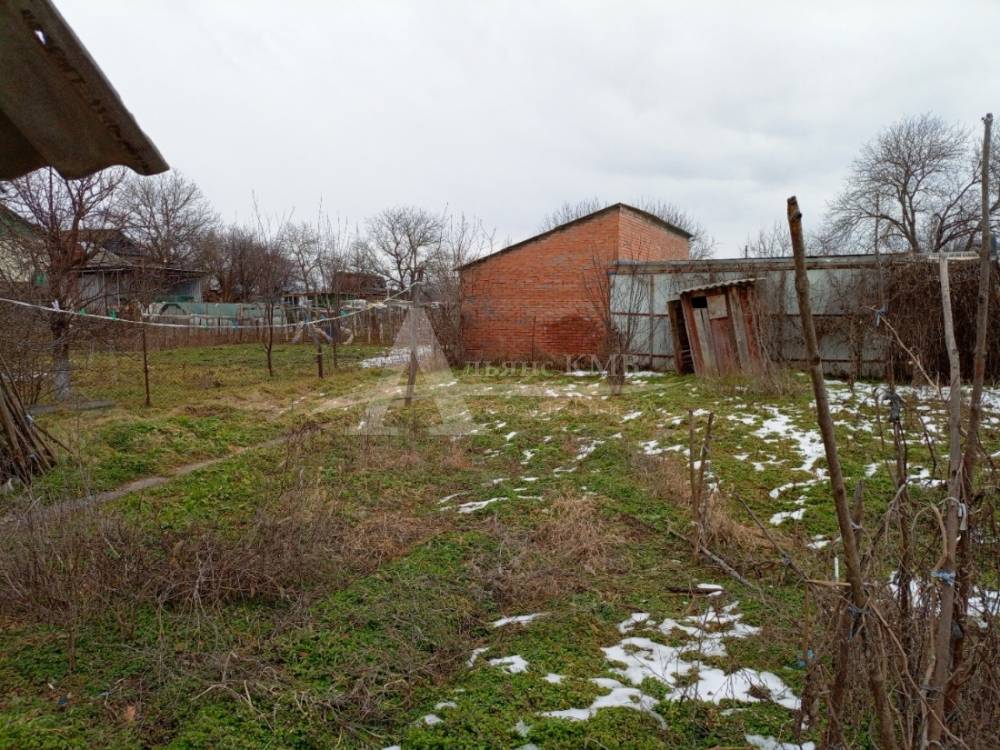 img_20260303_164905_041