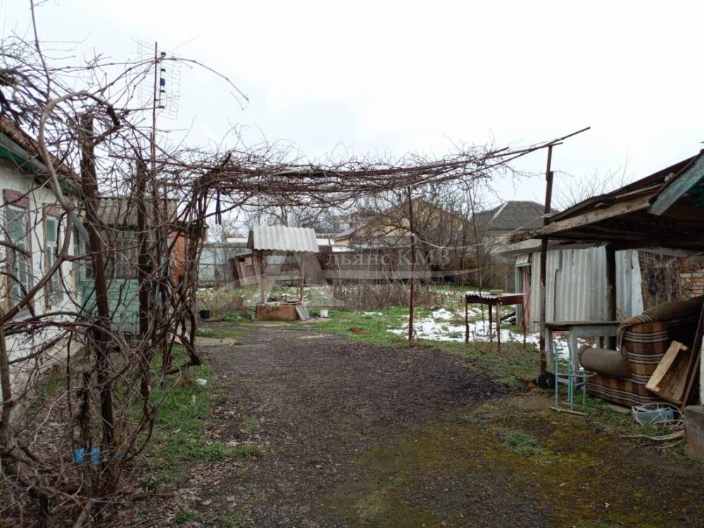 img_20260303_164647_717