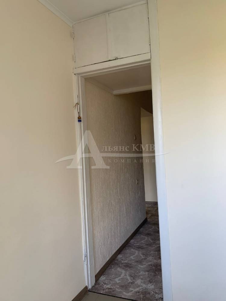 изображение whatsapp 2025-08-20 в 13.19.08_b2dd308d