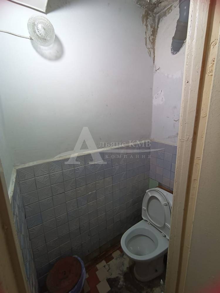 изображение whatsapp 2025-08-21 в 14.55.00_c0ff8c23