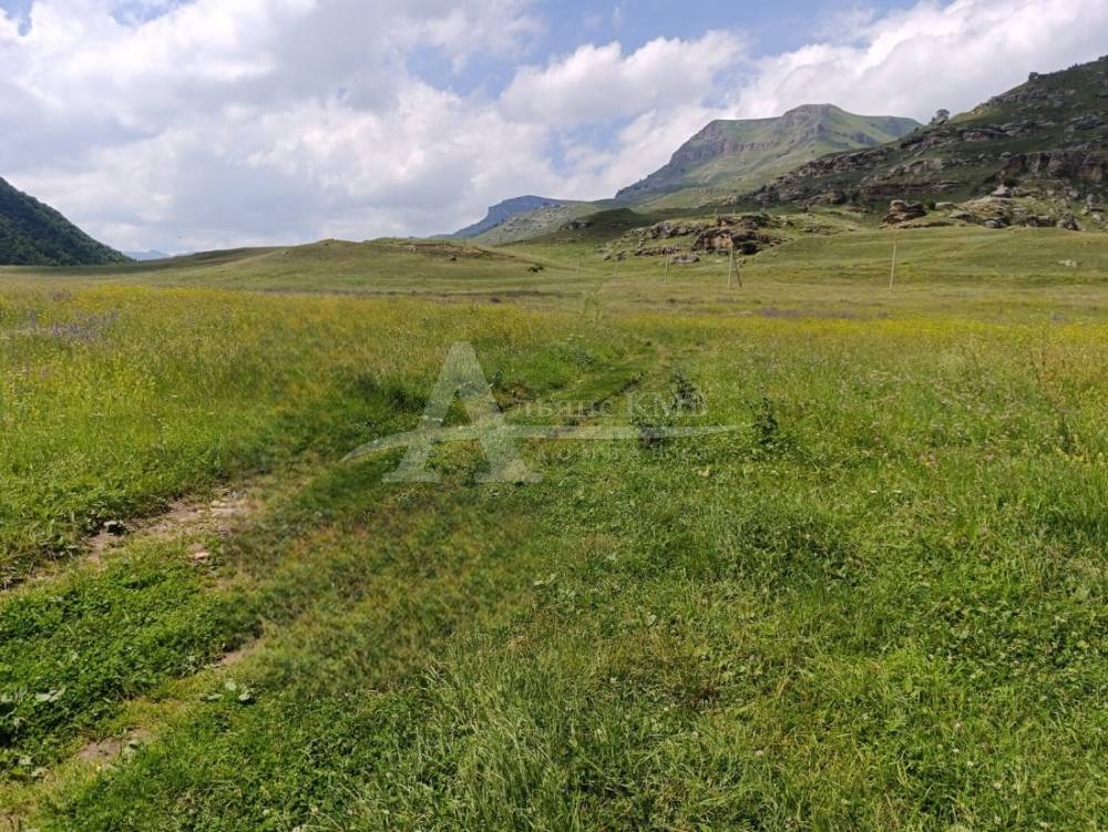 img-20250820-wa0208(1)