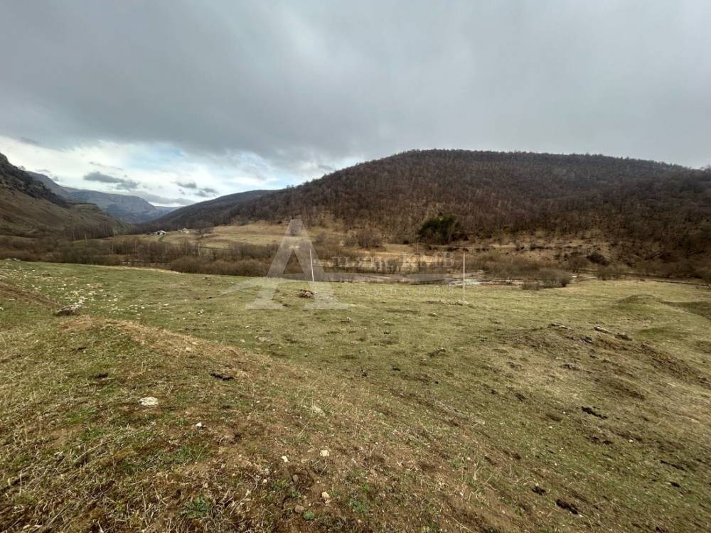 img-20250820-wa0207