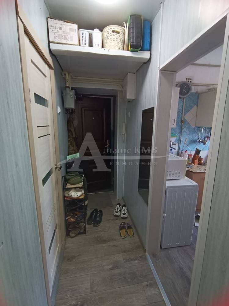 изображение whatsapp 2025-08-28 в 16.37.38_5e5bfba7