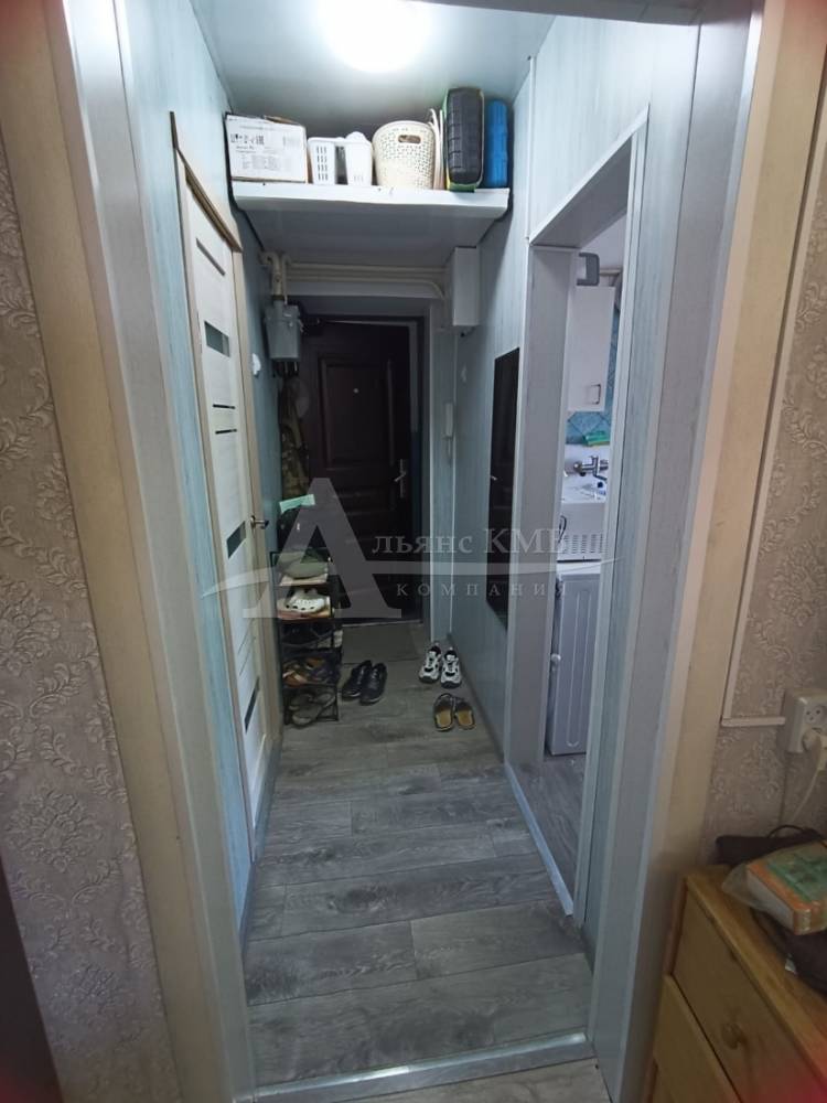 изображение whatsapp 2025-08-28 в 16.37.38_168e2462