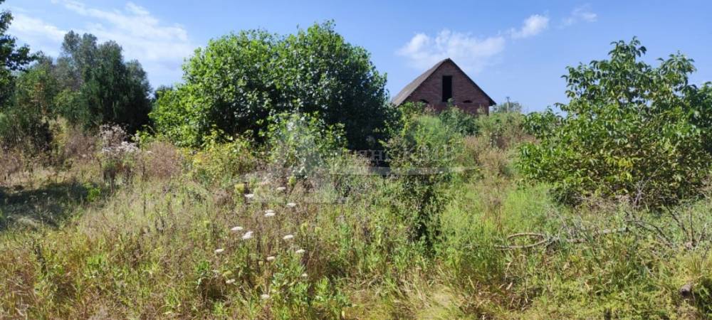 51ffcaf5-afd1-4f34-a8d4-28f1a7b866ce