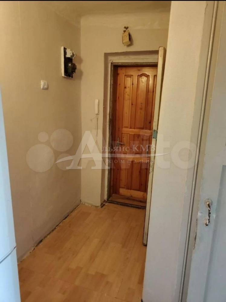 изображение whatsapp 2025-09-25 в 15.01.47_837d88da