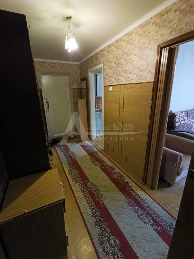 изображение whatsapp 2025-09-29 в 12.28.44_3dc11633