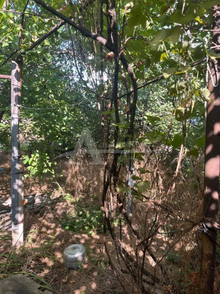 3d2e7ad5-a308-49b2-ab05-fa7fe3e79ea5