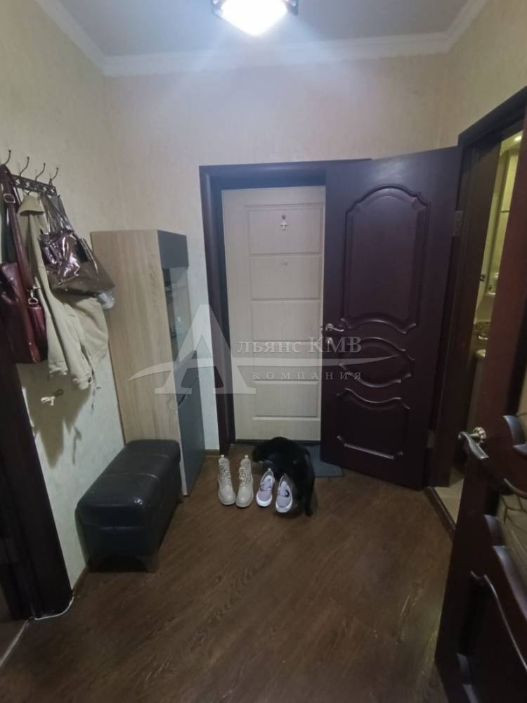изображение whatsapp 2025-10-01 в 20.00.08_fb188135