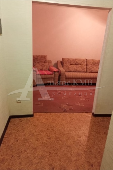 изображение whatsapp 2025-10-04 в 18.14.40_e39efffe