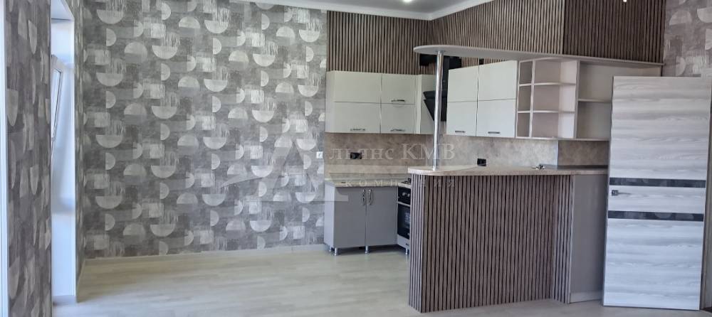 Кухня-гостинная