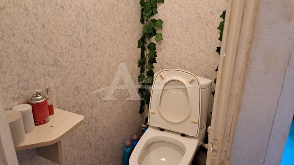 whatsapp image 2025-11-05 at 11.57.08