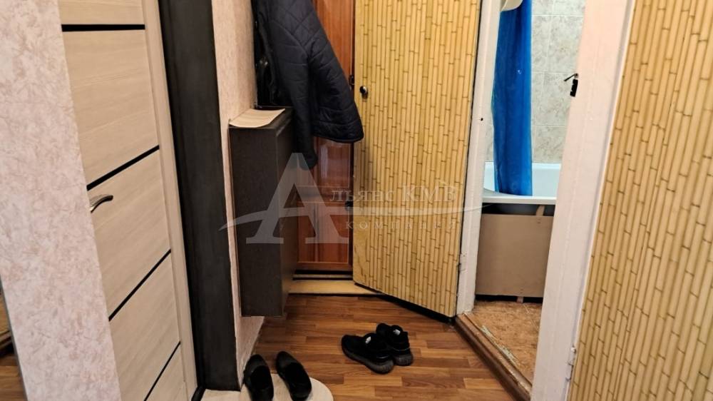 whatsapp image 2025-11-05 at 11.57.09 (1)