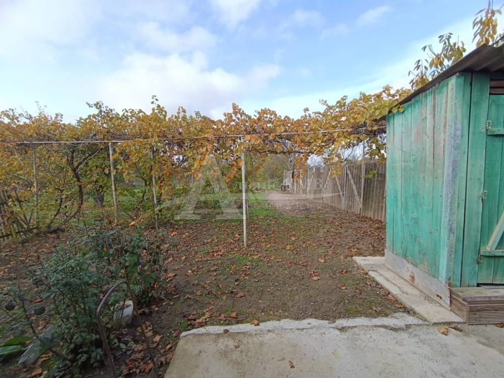 e07971d1-16ae-44e4-9e98-05c434a9e45d