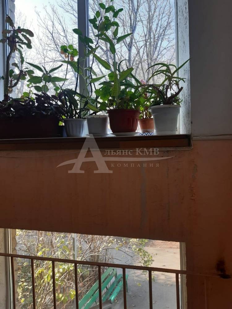 df67b041-8c4f-4d9c-a1f9-09c685416a33