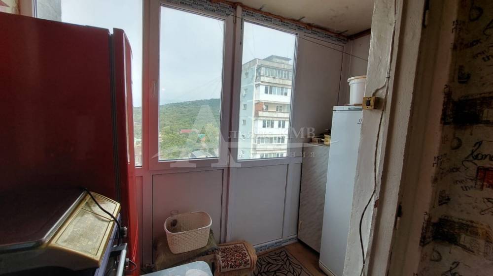 67294216-b562-43a5-8856-b8b3012775fe