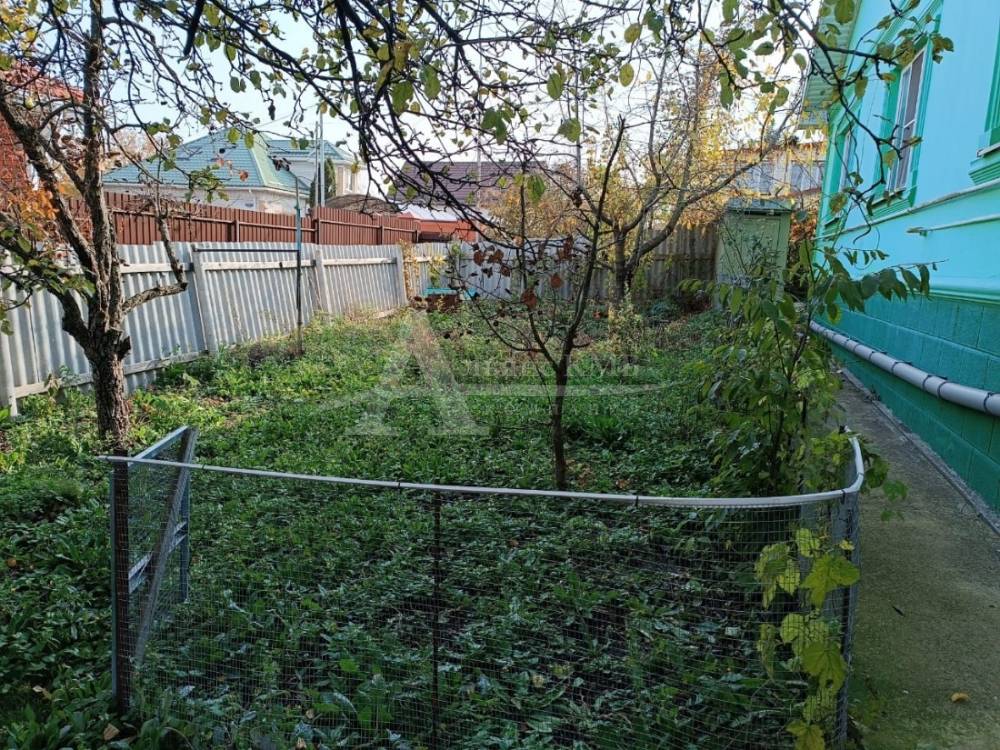 изображение whatsapp 2025-11-08 в 11.46.28_f23120e9