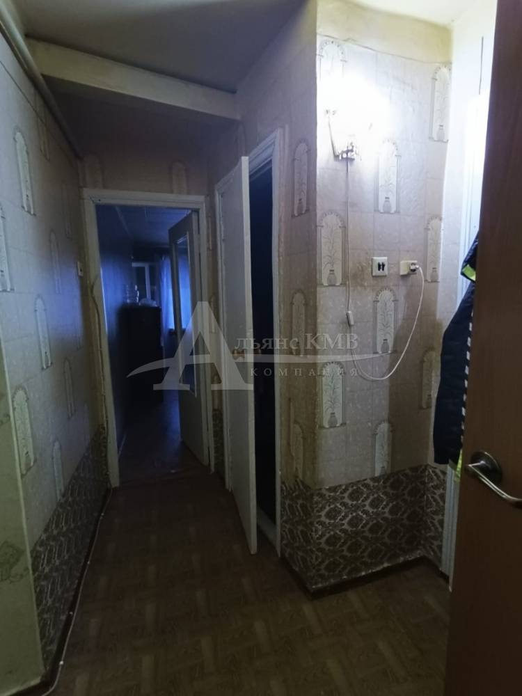 изображение whatsapp 2025-11-14 в 16.05.08_233d9ca4