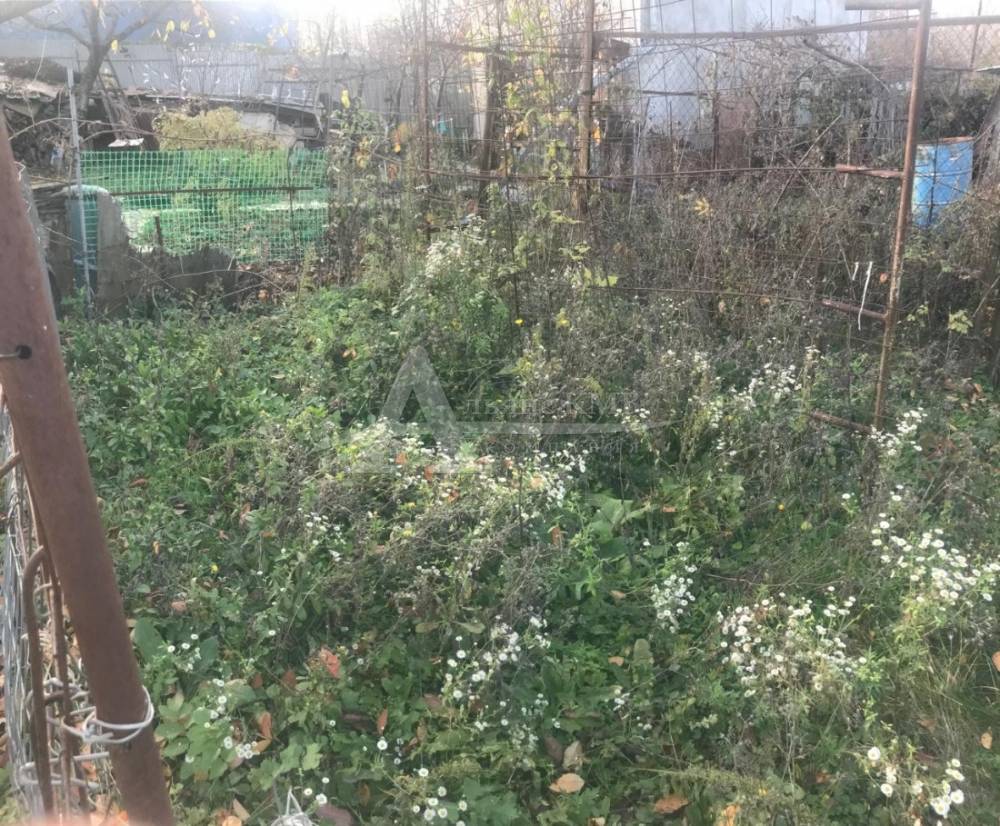 6d84d7f2-5d3d-4535-89b3-07bc2a4b854d