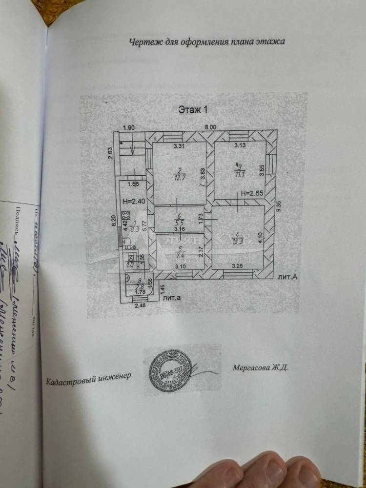 whatsapp image 2025-11-19 at 22.26.03 (1)