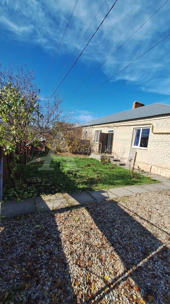 whatsapp image 2025-11-20 at 12.42.26