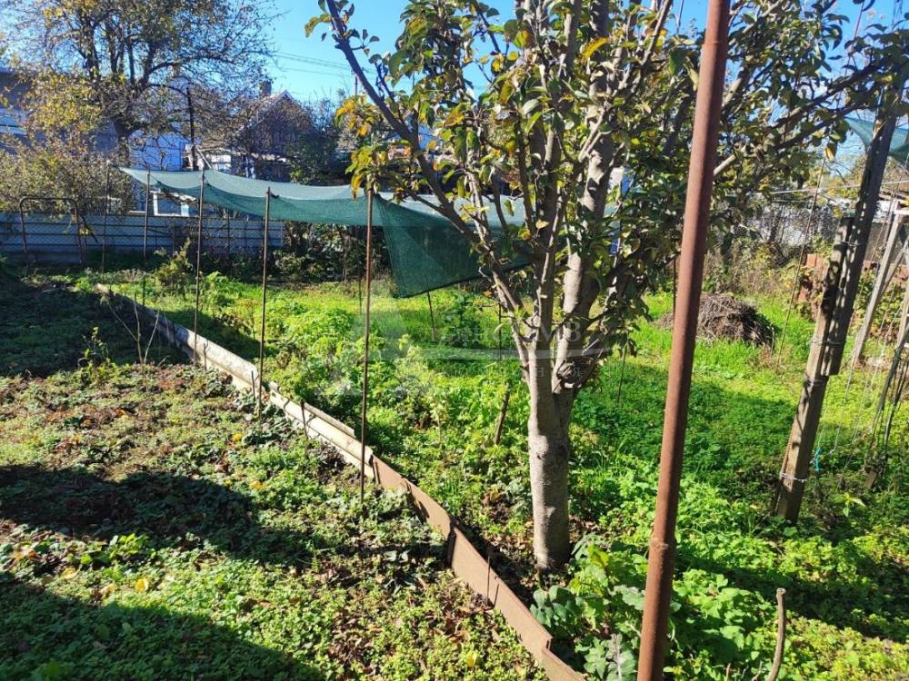 img_20251203_161602_651