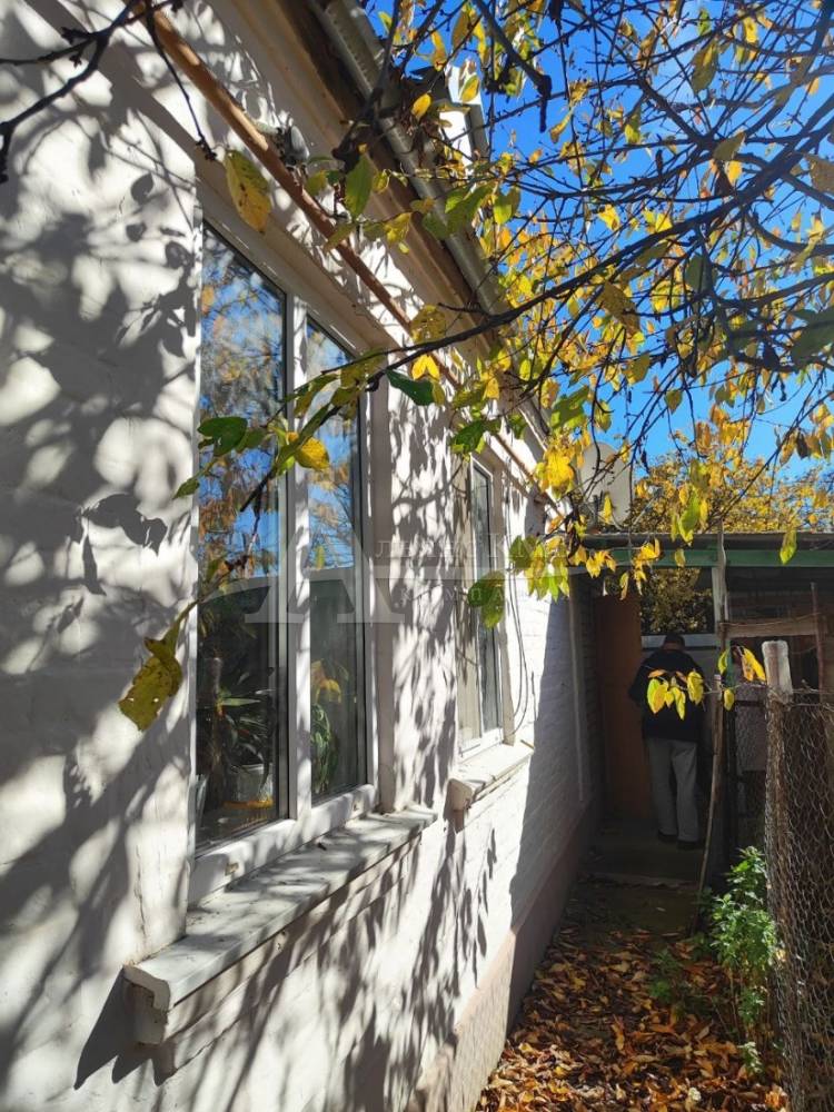 img_20251203_161535_194