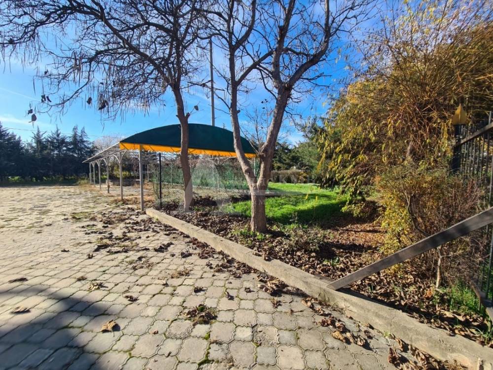 85299670-64da-4d67-9b2f-f5256c5b5452