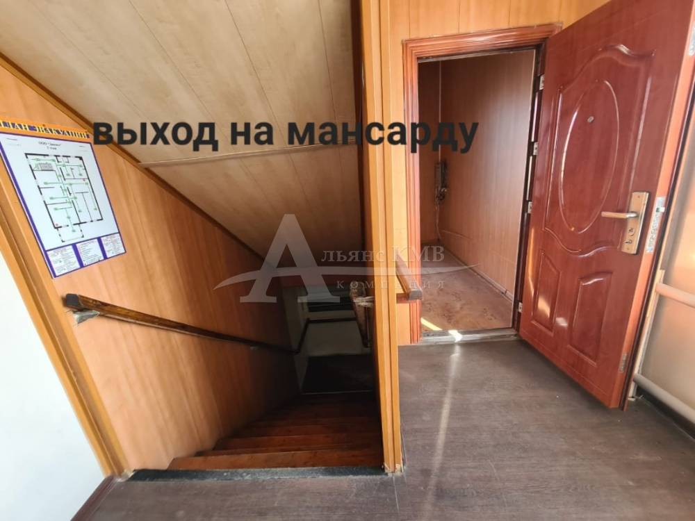 c0083b8b-0d18-4ab5-a8f8-cb5d5d697ddb