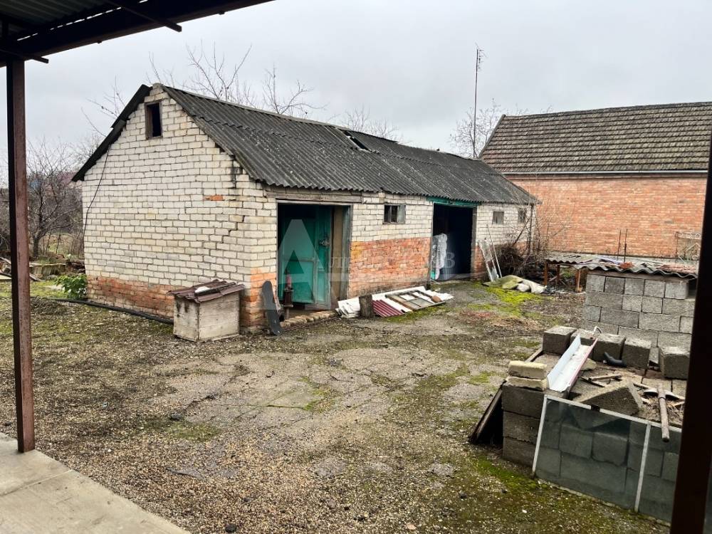 image-02-12-25-03-50-11