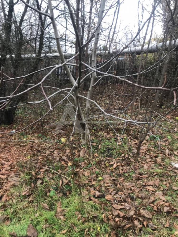 136da4ec-6786-4687-9b56-5e14f1ca6ecd