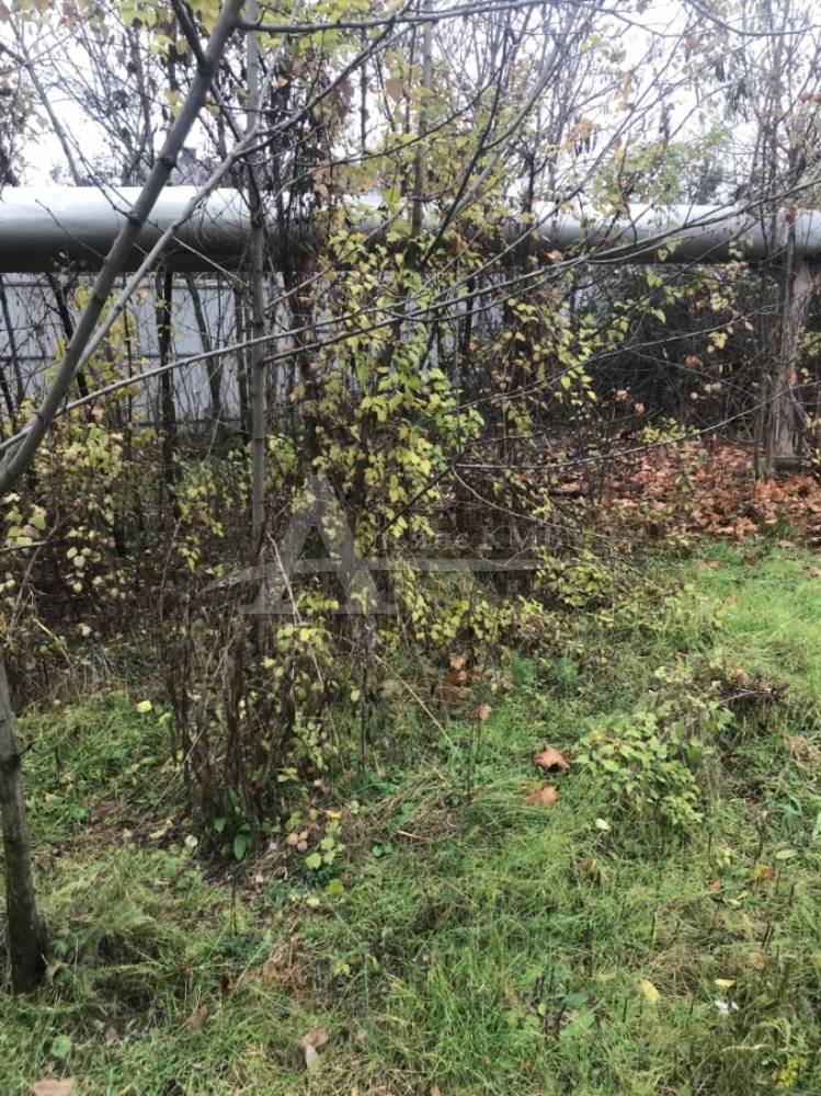 228affff-15fd-4839-9707-d90029e7ef71