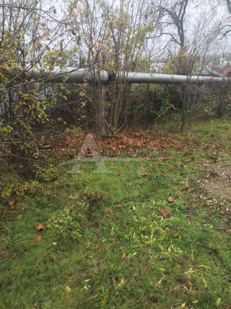 a246f658-8899-4a92-91b3-393a8e916441