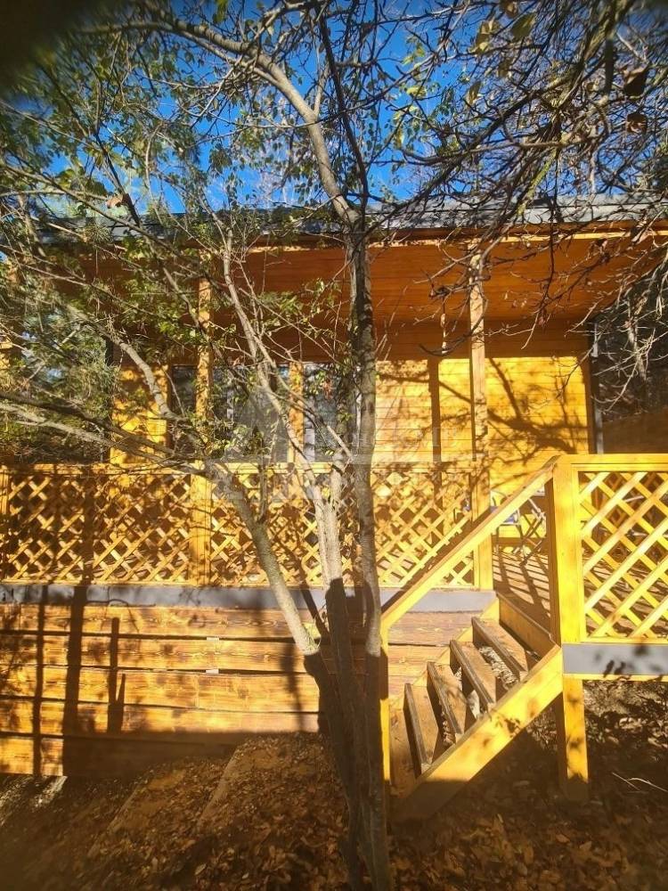 img_20251204_142615_621