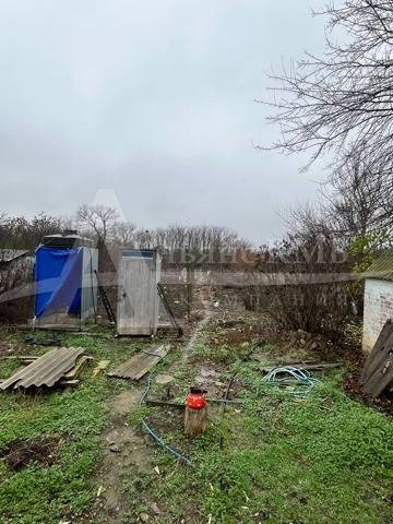 image-08-12-25-01-31-5