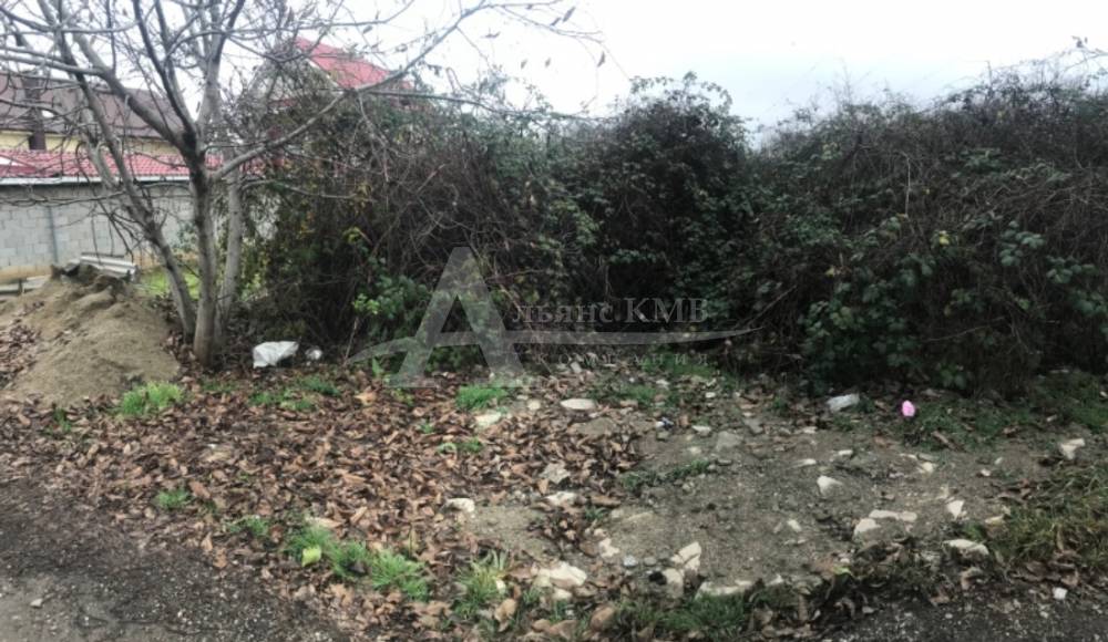 32bfe38e-3065-4bfe-a260-4a162ff0a5b0