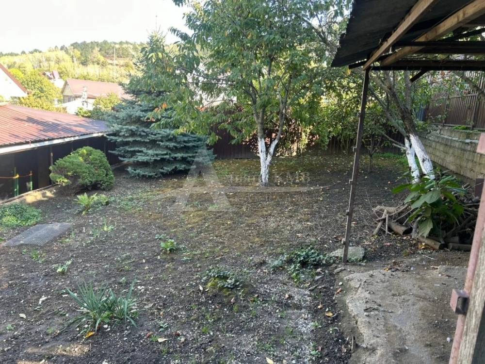 img_20251210_134824_497