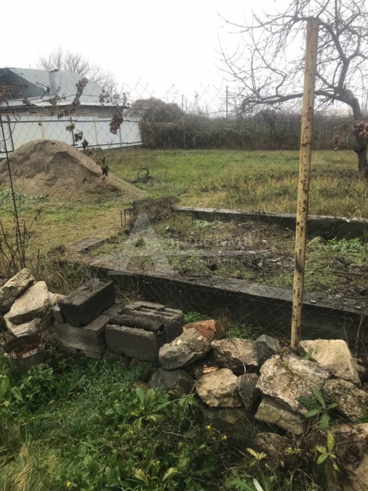 5369b455-27c3-4487-88b7-57283873df3c