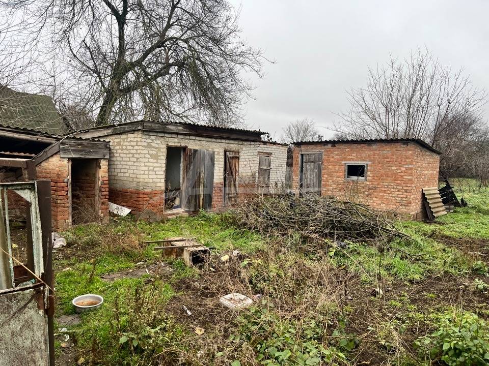 image-15-12-25-12-18-11