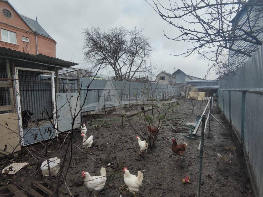 photo-2025-12-14-15-31-07 2